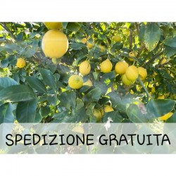 LIMONI PRIMOFIORE DA  €...